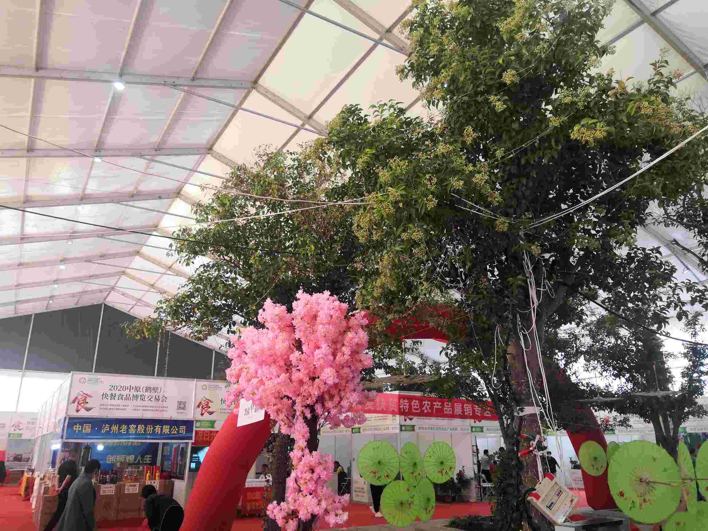 2020年中原（鶴壁）快餐食品博覽交易會(huì) (15).jpg